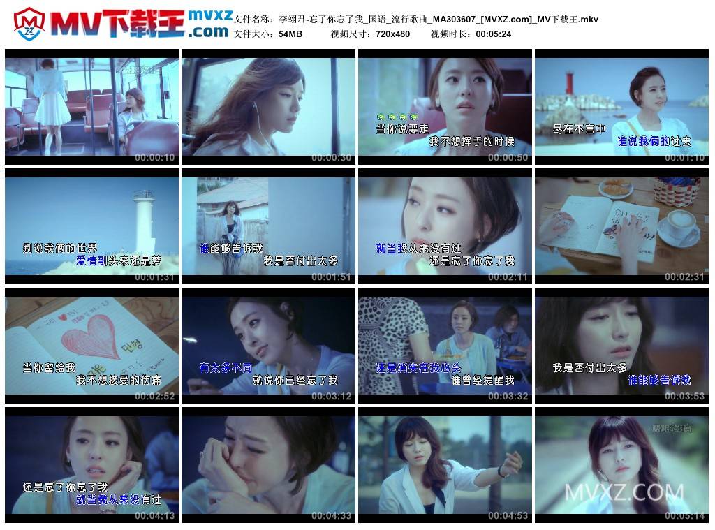 李翊君-忘了你忘了我_国语_流行歌曲_MA303607